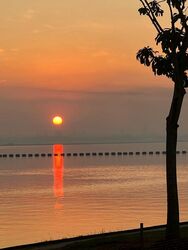 Bungalows By the Sea (D27), Detached #432504141